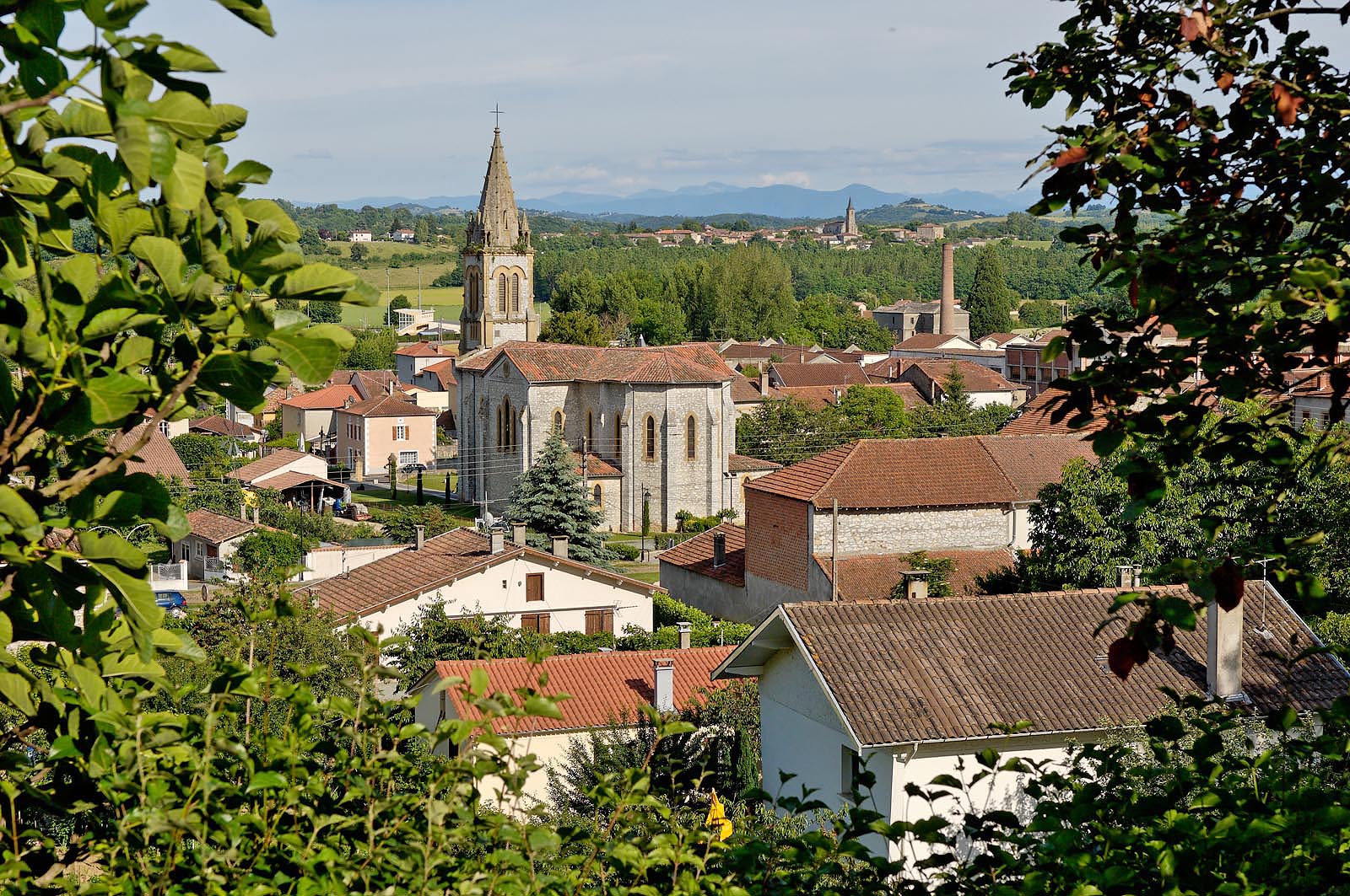 D02505.jpg